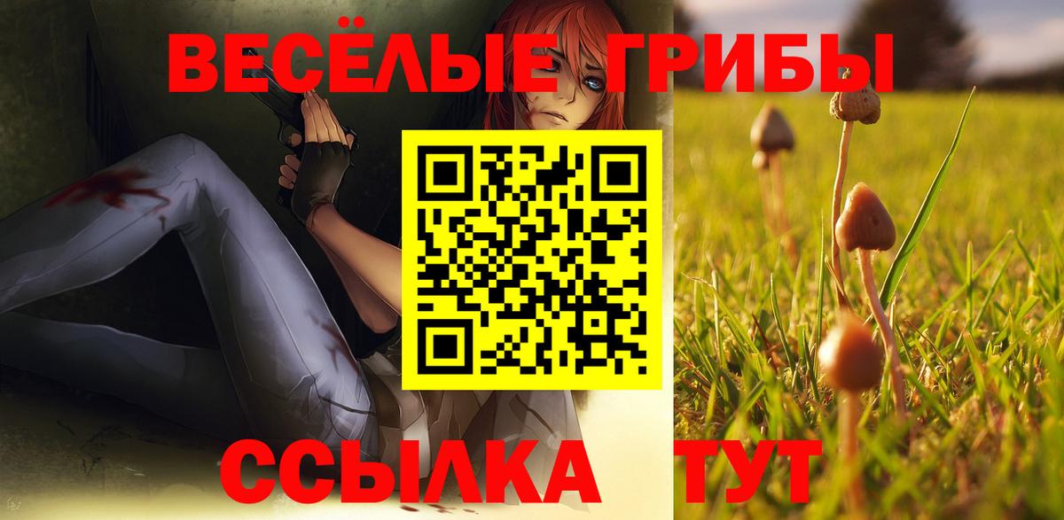 Псилоцибиновые грибы мухоморы Новошахтинск